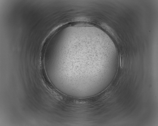 X0000082150531200702092153