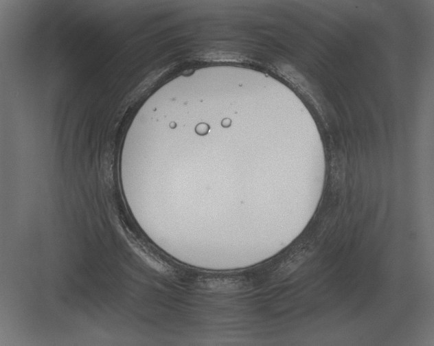 X0000082150533200702092153