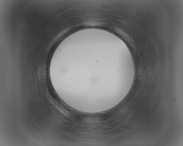 X0000082150535200702092153