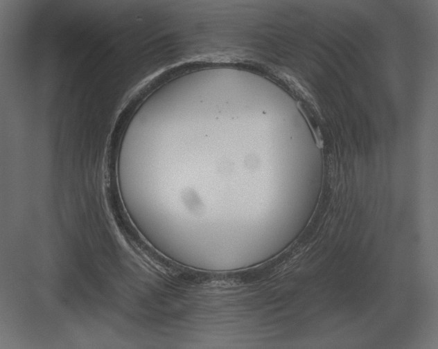 X0000082150536200702092153