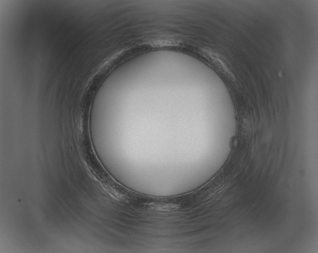 X0000082150539200702092153