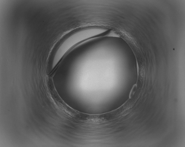 X0000082150540200702092153