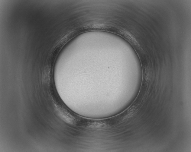 X0000082150542200702092153