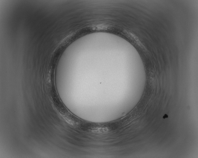 X0000082150543200702092153