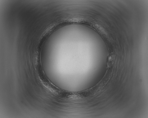 X0000082150544200702092154