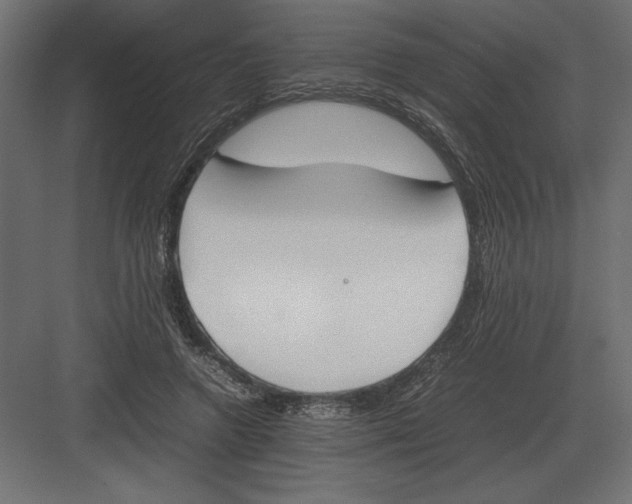 X0000082150546200702092154