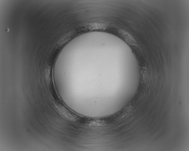 X0000082150550200702092154