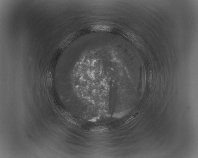 X0000082150551200702092154