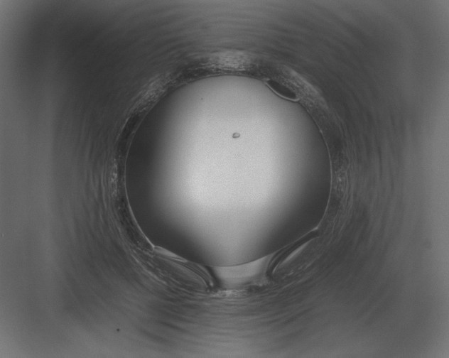 X0000082150552200702092154