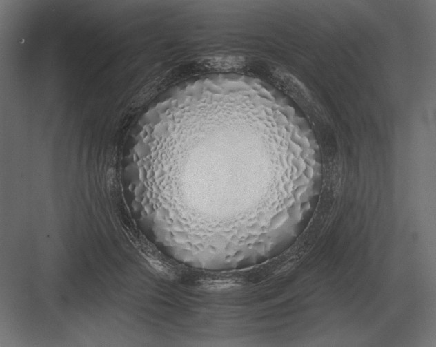 X0000082150553200702092154