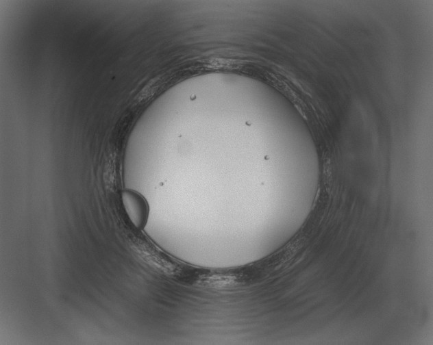 X0000082150554200702092154