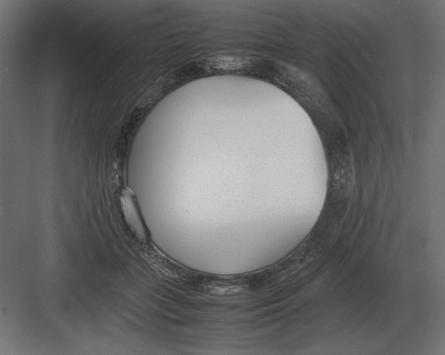 X0000082150555200702092154