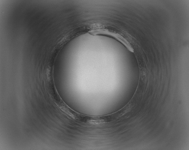 X0000082150556200702092154