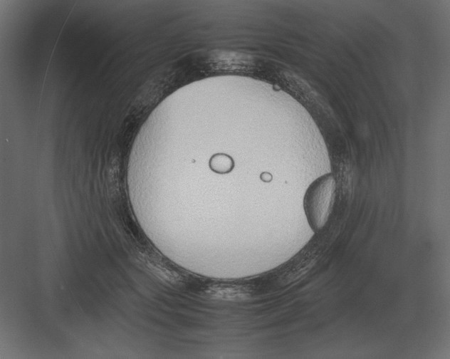 X0000082150557200702092154