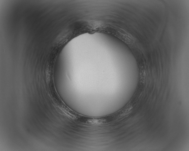 X0000082150558200702092154