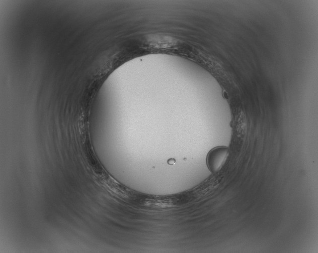 X0000082150559200702092154