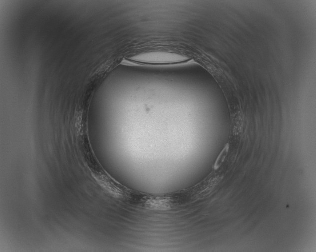 X0000082150560200702092154