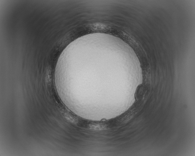 X0000082150561200702092154