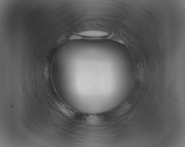 X0000082150562200702092154