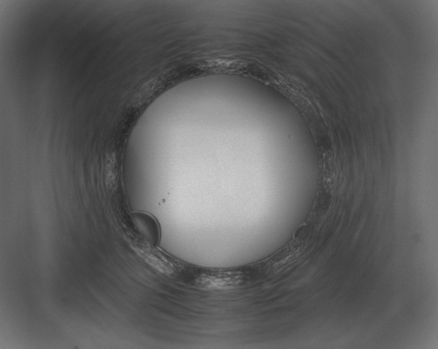 X0000082150563200702092154