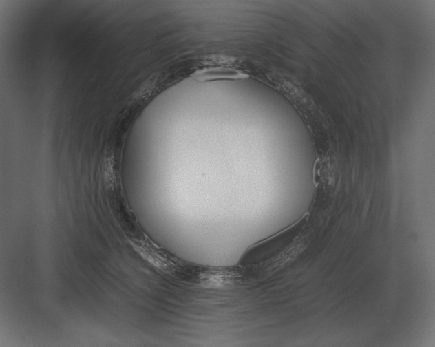 X0000082150564200702092154