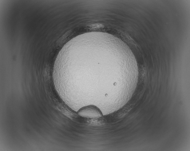 X0000082150565200702092154