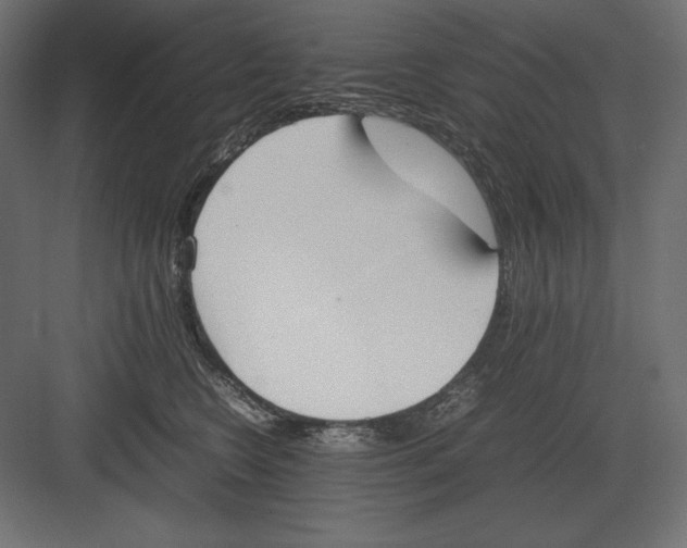 X0000082150566200702092154