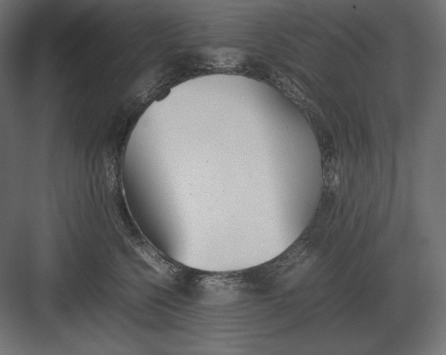 X0000082150568200702092154