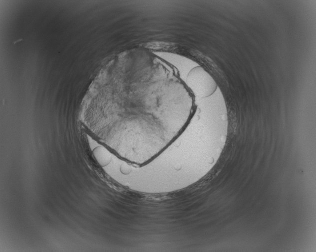 X0000082150569200702092154