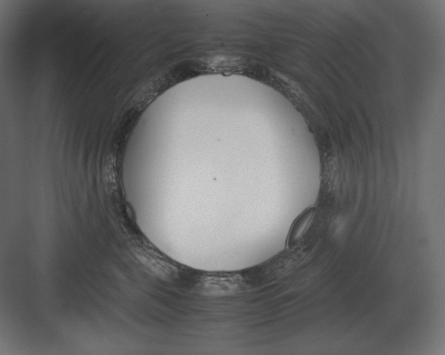 X0000082150571200702092154