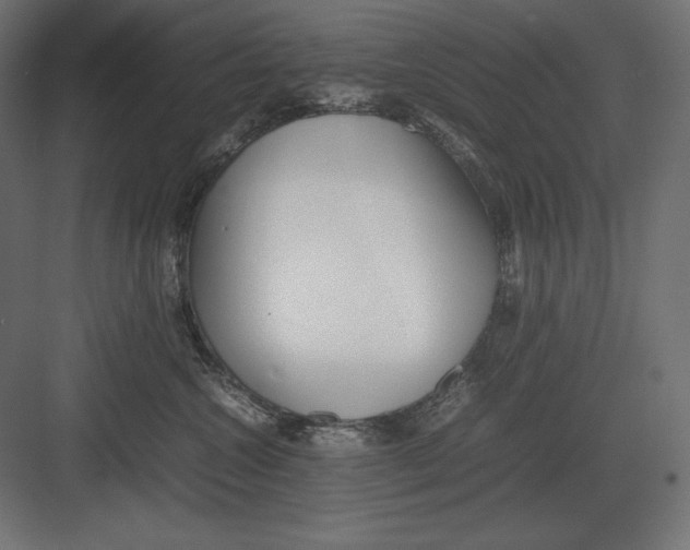 X0000082150572200702092154