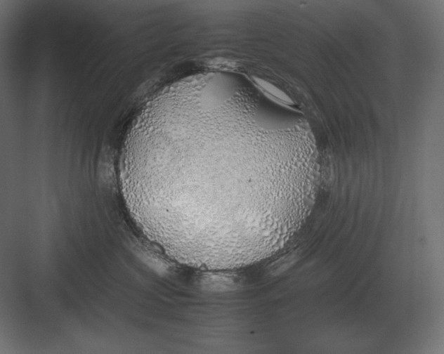 X0000082150573200702092154