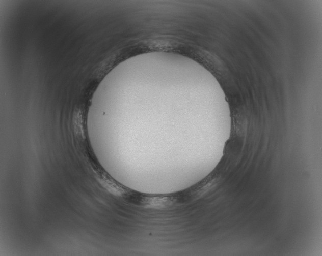 X0000082150575200702092154