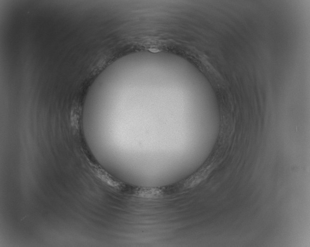 X0000082150576200702092154