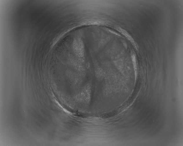 X0000082150577200702092153