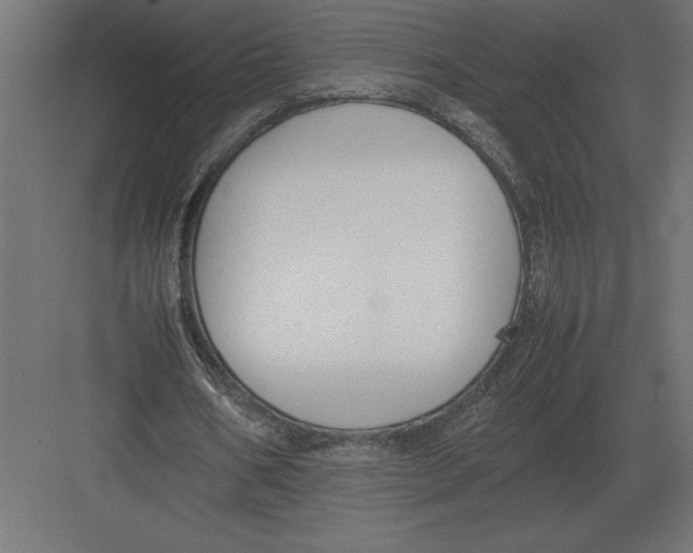 X0000082150578200702092153