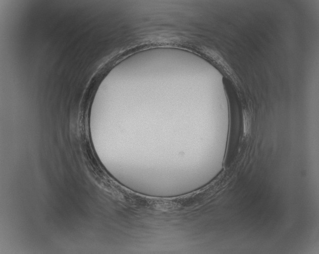 X0000082150579200702092153