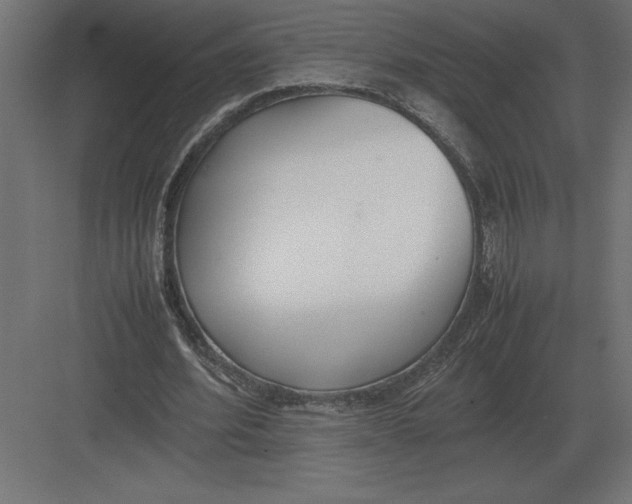 X0000082150580200702092153