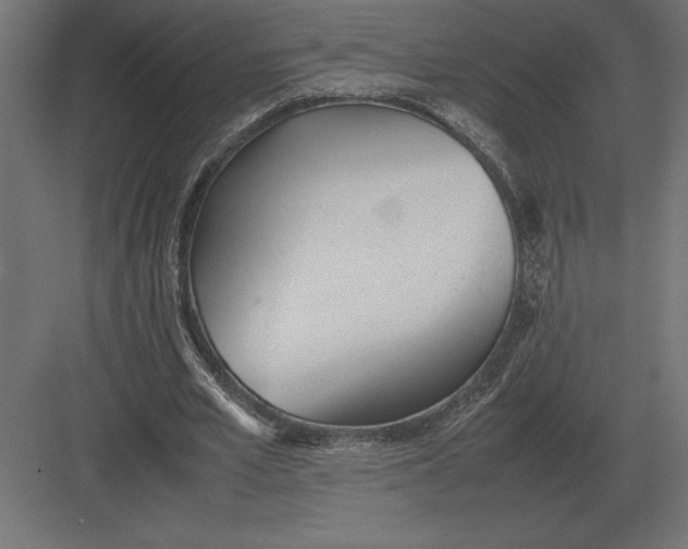 X0000082150581200702092153