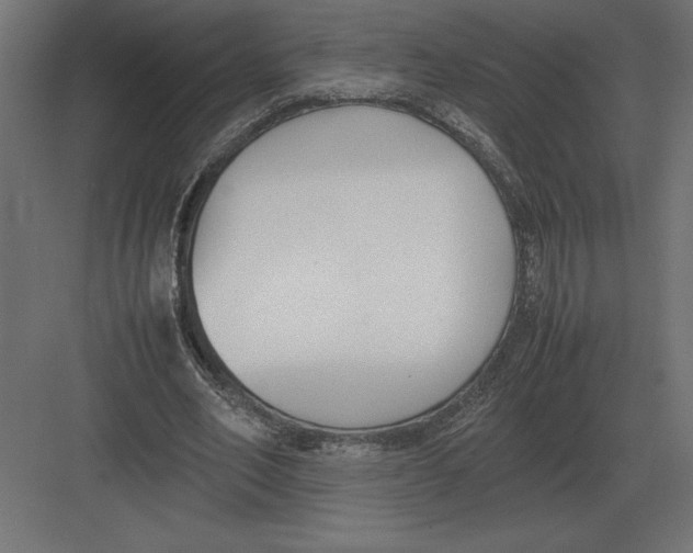 X0000082150582200702092153