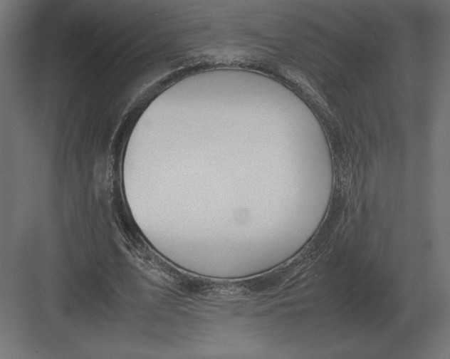 X0000082150583200702092153