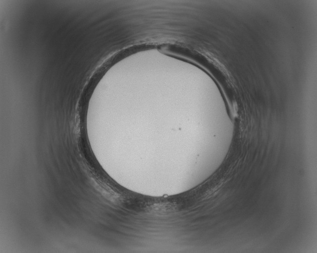 X0000082150584200702092153