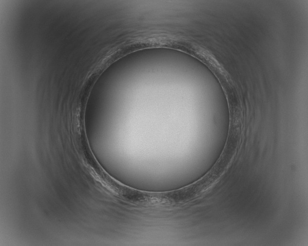 X0000082150585200702092153