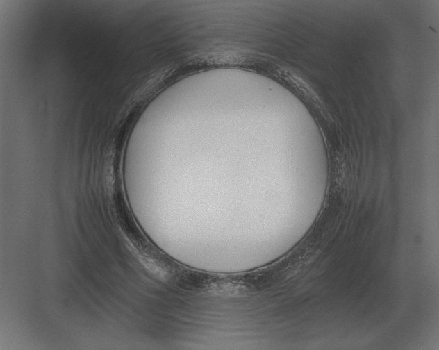 X0000082150586200702092153