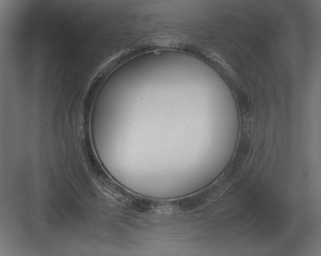 X0000082150587200702092153