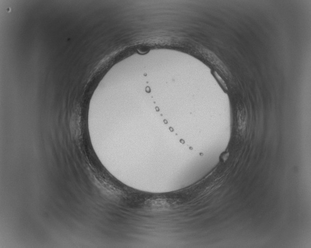 X0000082150588200702092153