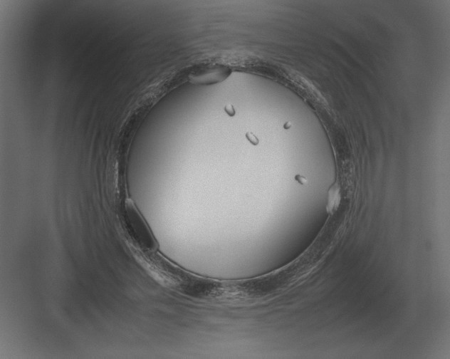 X0000082150589200702092153