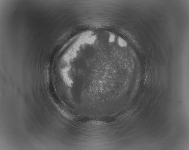 X0000082150590200702092153