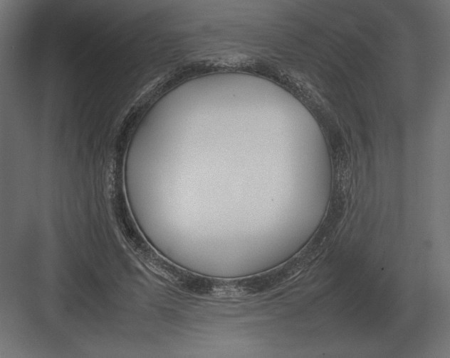 X0000082150591200702092153