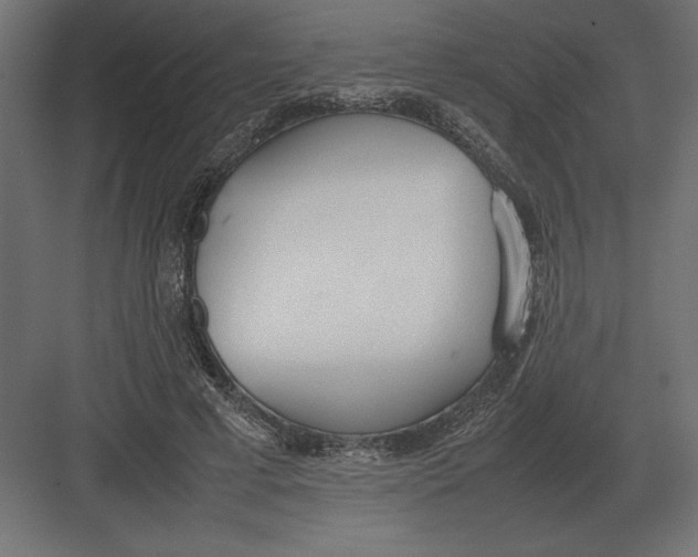 X0000082150593200702092153